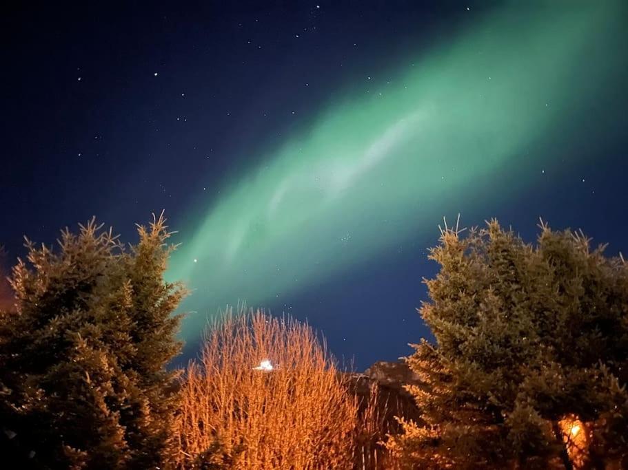 Cosy Flat Near Cable Car And The Arctic Cathedral *